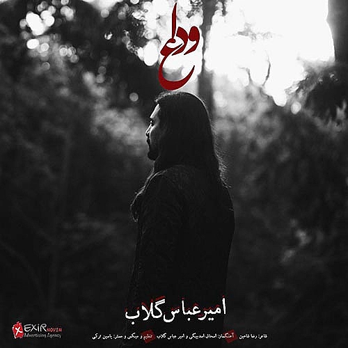 Cover artwork for Vedaa by Amirabbas Golab